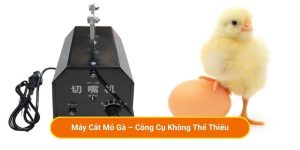 Máy Cắt Mỏ Gà – Công Cụ Không Thể Thiếu