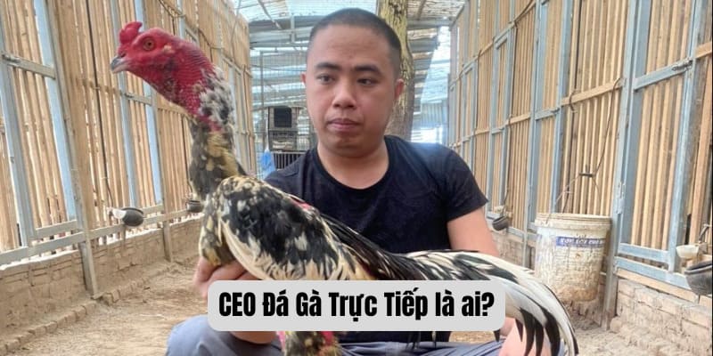 CEO Đá Gà Trực Tiếp là ai?