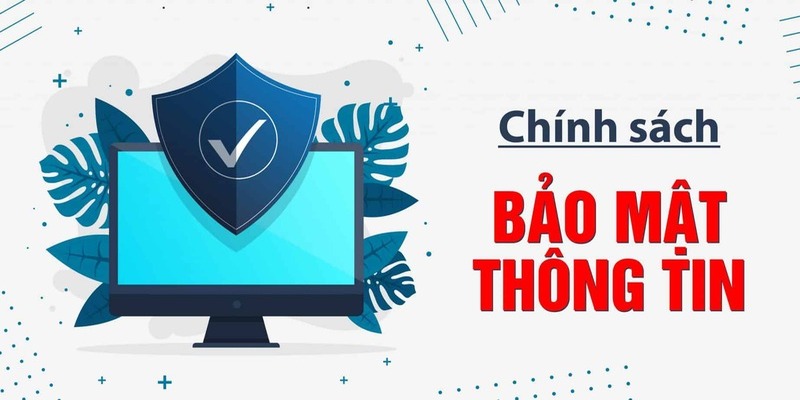 Vai trò của chính sách bảo mật với người chơi