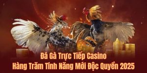 Đá Gà Trực Tiếp Casino Trải Nghiệm Mới Mỗi Ngày Năm 2025