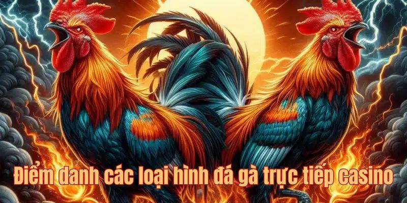 Một số loại hình giải trí đáng chú ý nhất trong đá gà trực tiếp casino