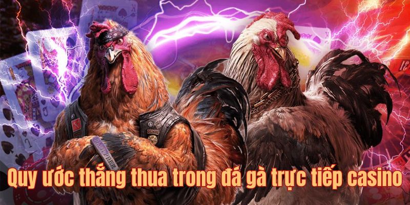 Nguyên tắc xác định kết quả của một trận đá gà trực tiếp casino