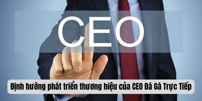 Định hướng của CEO Đá Gà Trực Tiếp
