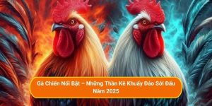 Gà Chiến Nổi Bật – Những Thần Kê Khuấy Đảo Sới Đấu Năm 2025