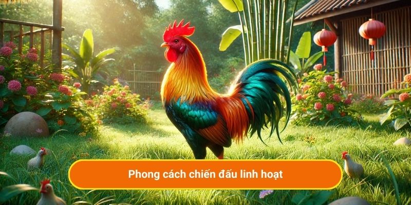 Phong cách chiến đầu linh hoạt
