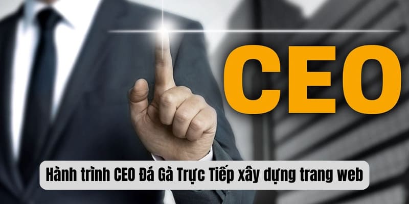 Hành trình phát triển CEO Đá Gà Trực Tiếp