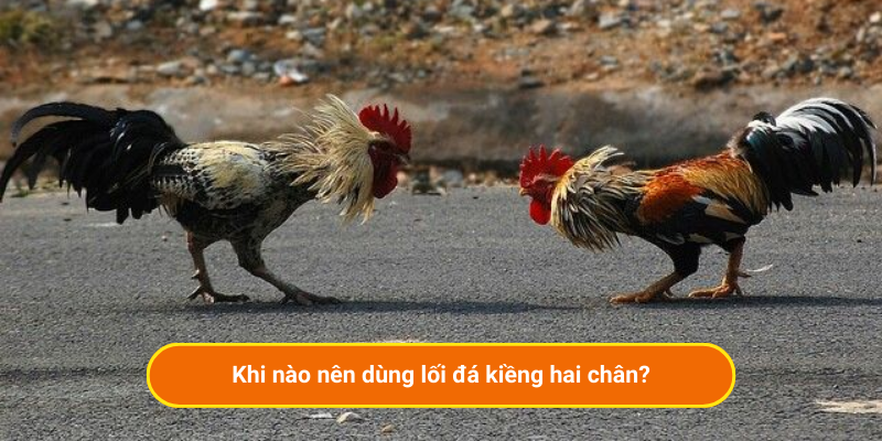 Khi nào nên dùng lối đá kiềng hai chân?