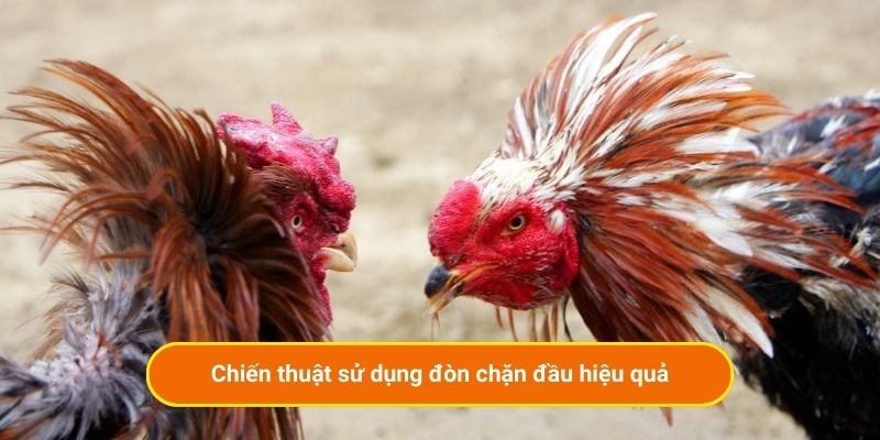 Chiến thuật sử dụng đòn chặn đầu hiệu quả