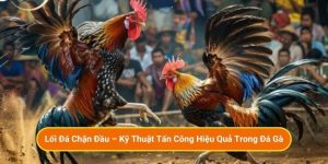 Lối Đá Chặn Đầu – Kỹ Thuật Tấn Công Hiệu Quả Trong Đá Gà