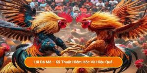Lối Đá Mé – Kỹ Thuật Hiểm Hóc Và Hiệu Quả