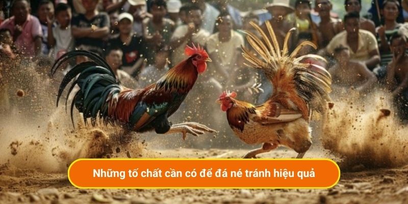 Những tố chất cần có để đá né tránh hiệu quả