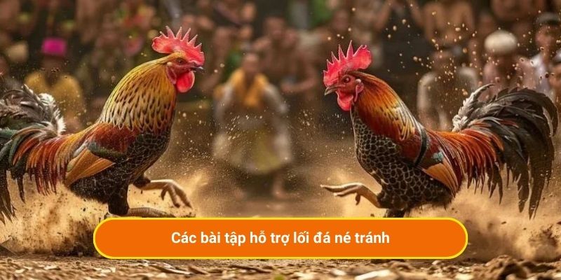 Các bài tập hỗ trợ lối đá né tránh