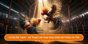 Lối Đá Né Tránh – Kỹ Thuật Linh Hoạt Giúp Chiến Kê Chiếm Ưu Thế