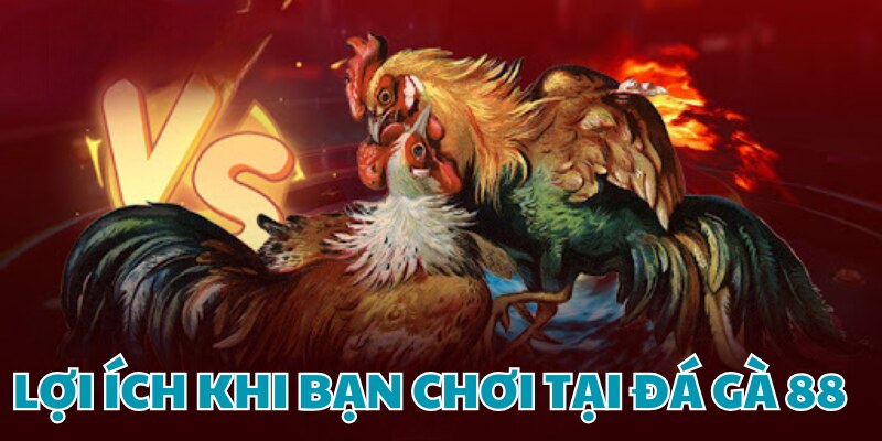 Lý do thuyết phục bạn chơi tại đây
