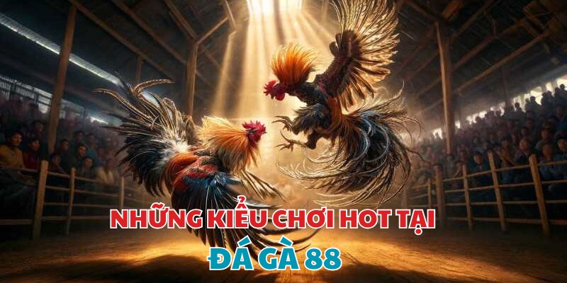 Những kiểu chơi hot nhất tại Đá gà trực tiếp