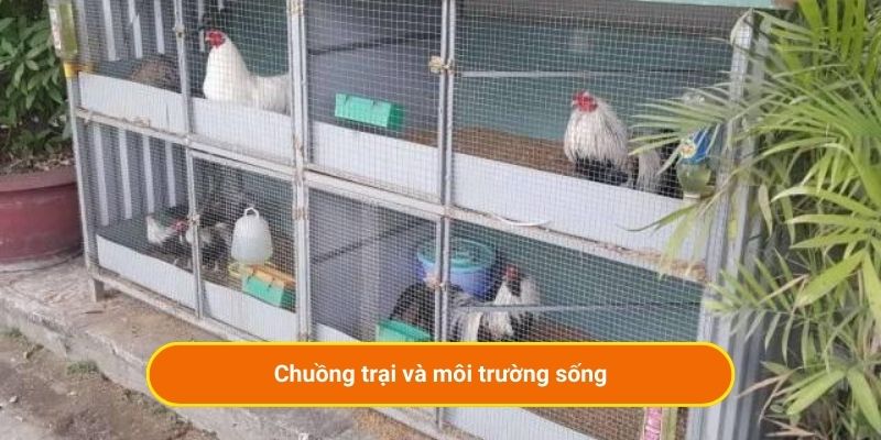 Chuồng trại và môi trường sống