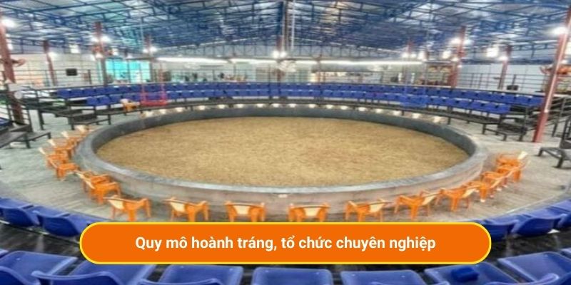 Quy mô hoành tráng, tổ chức chuyên nghiệp