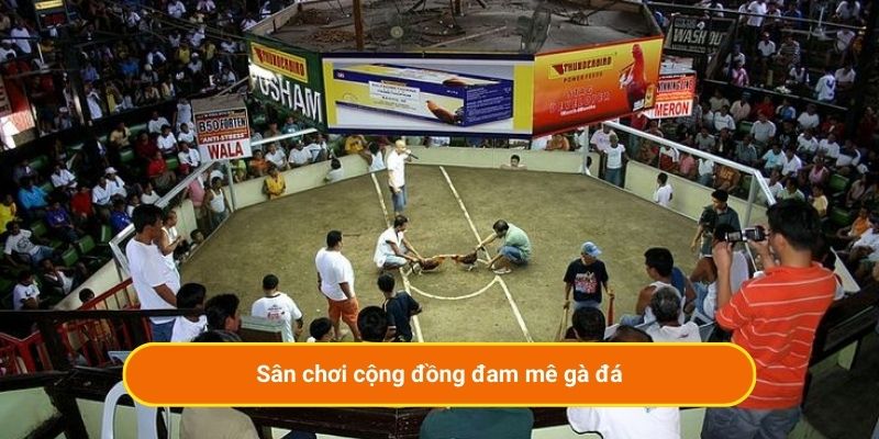 Sân chơi cộng đồng đam mê gà đá