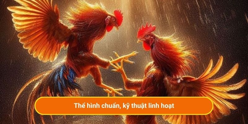 Thể hình chuẩn, kỹ thuật linh hoạt