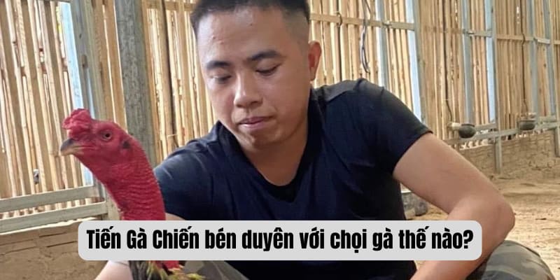 Tiến Gà Chiến bén duyên với chọi gà thế nào?