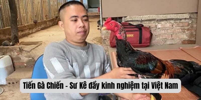 Tiến Gà Chiến - Sư Kê đầy kinh nghiệm