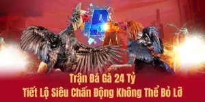 Thông tin về trận đá gà 24 tỷ hot hit