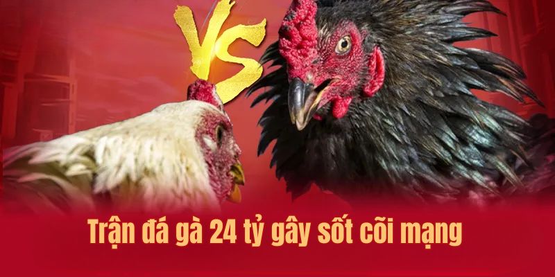 Trận đá gà 24 tỷ gây sốt cõi mạng