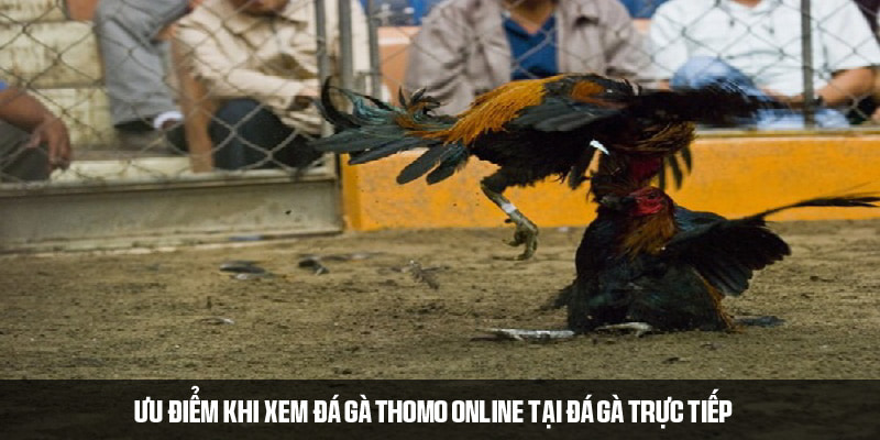 Lợi ích dành cho khách hàng truy cập Đá Gà Trực Tiếp