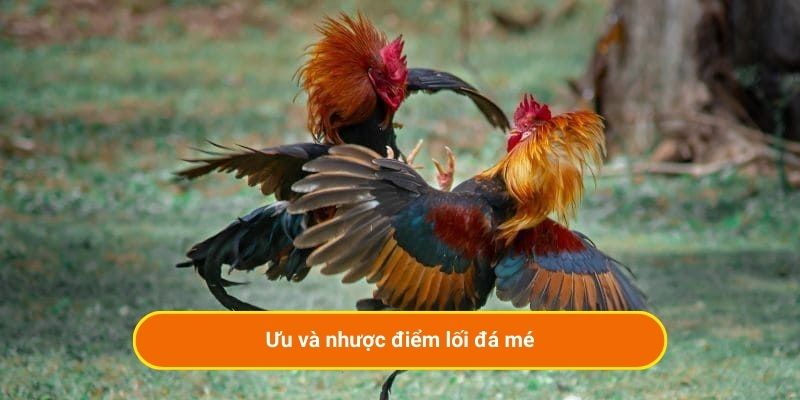 Ưu và nhược điểm lối đá mé