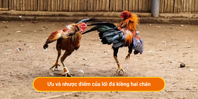 Ưu và nhược điểm của lối đá kiềng hai chân
