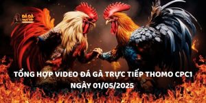 Tổng hợp video đá gà trực tiếp Thomo CPC1 ngày 01/05/2025