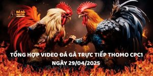 Tổng hợp video đá gà trực tiếp Thomo CPC1 ngày 29/04/2025
